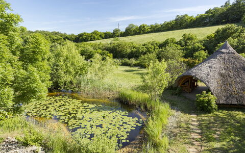 Villa Canela: Paisaje Natural, Pradera, Planta De La Comunidad, Área Rural, Reserva Natural, Estanque, Prado, Jardín