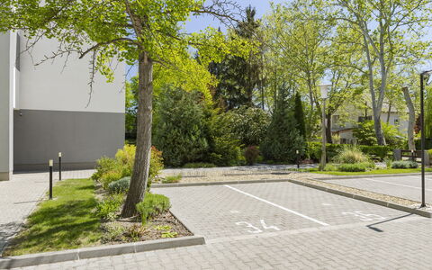 Gárdonyi Garden: Arbusto, Espacio Publico, Cobertura Del Suelo, Acera, Jardín, Losa, Plantas Leñosas, Entrada De Coches, Pasarela