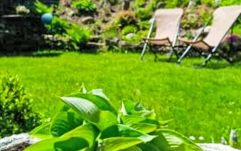 Herlíkovice: Verde, Klippe, Jardín, Arbusto, Paisaje, Cobertura Del Suelo, Césped, Paisajismo, Patio Interior, Yarda