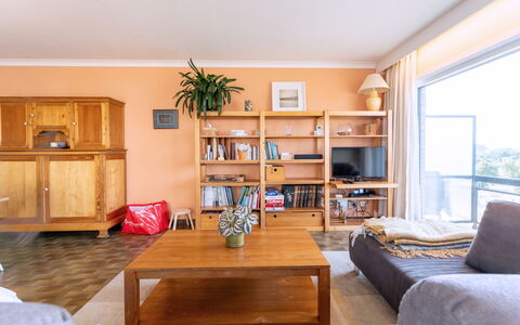 Zandstuyver with Balcony: Mueble, Diseño De Interiores, Piso, Suelo, Madera, Techo, Habitación, Suelos De Madera, Estantería, Sala