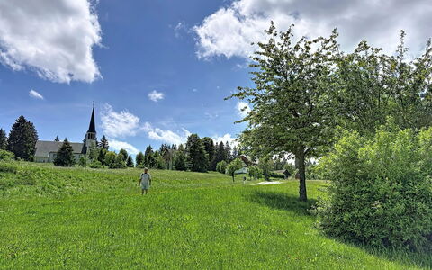 Sonne: Azul, Verde, Hierba, Árbol, Entorno Natural, Hoja, Pradera, Nube, Vegetación, Verano