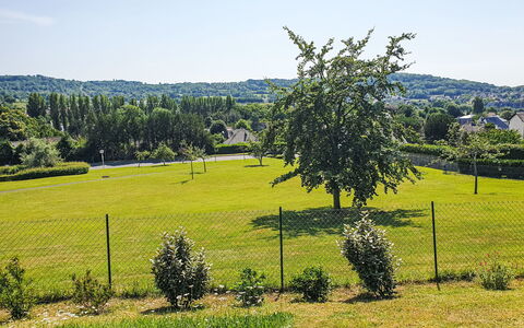 Les Ducs de Normandie: Cielo, Azul, Árbol, Verde, Hierba, Naturaleza, Entorno Natural, Hoja, Rama, Vegetación