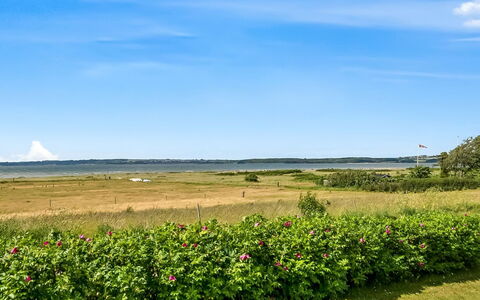 Gustav - 50M from the Sea: Cielo, Azul, Verde, Nube, Pradera, Prado, Plantación, Campo, Pradera
