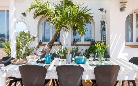 Lotus: Mueble, Mesa, Diseño De Interiores, Silla, Cocina Y Comedor Mesa, Comedor, Maceta, Casa, Restaurante, Planta De Casa