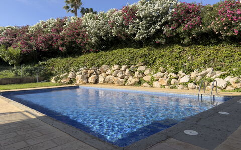 Tramuntana Ii: Piscina, Arbusto, Jardín, Recurso, Paisajismo, Ocio, Sombra, Fuente De Agua, Patio Interior, Yarda