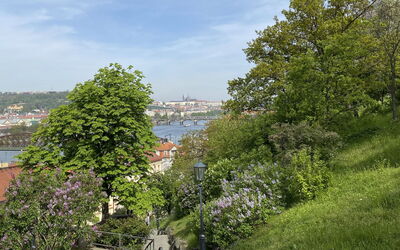 Senovazne