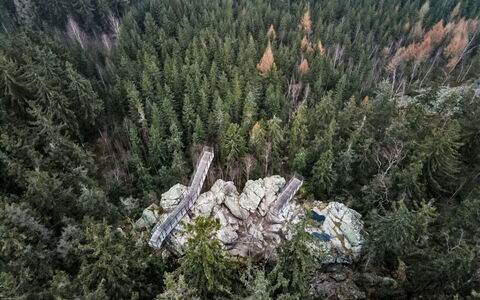 Rokytnice Nad Jizerou 2: Bosque, Alerce, Los Bosques De Coníferas Tropicales Y Subtropicales, Selva, Hojas Perennes, Bosque