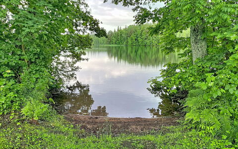 Sjöarpstugan: Agua, Cuerpo De Agua, Naturaleza, Entorno Natural, Paisaje Natural, Vegetación, Banco, Corriente De Agua, Planta De La Comunidad