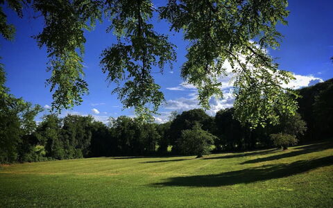 Villa Veneta - Historic Villa in the Prosecco Hill: Azul, Hierba, Hoja, Tiempo De Día, Verde, Naturaleza, Árbol, Rama, Entorno Natural, Vegetación