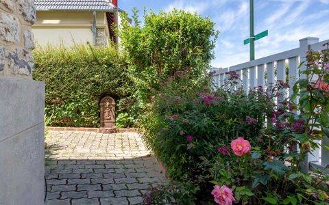 Villerville: Flor, Arbusto, Jardín, Paisajismo, Yarda, Familia De Las Rosáceas, Patio Interior, Pasarela