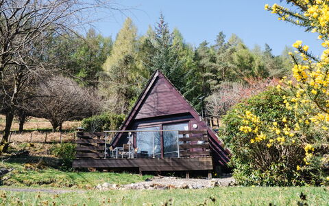 Glengarry Combi: Madera, Cabaña, Área Rural, Jardín, Cuarto De Troncos, Madera Dura, Edificios Del Jardín, \Choza, Yarda, Paisajismo