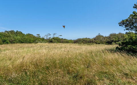 Toska - 800M from the Sea: Azul, Cabaña, Casa, Casa, Casa De Campo, Inmuebles, Vía Muerta