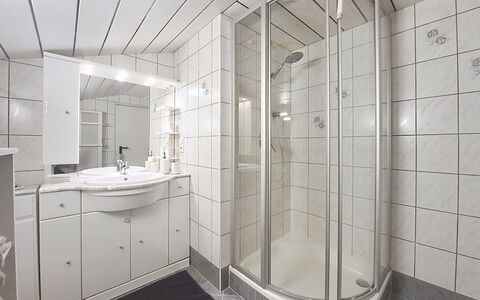 Holzegger: Piso, Diseño De Interiores, Suelo, Arreglo De Tubería, Techo, Baño, Habitación, Plomería, Lavabo, Lavabo Del Baño