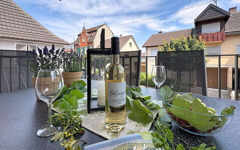 Endingen am Kaiserstuhl 100: Botella, Botella De Vidrio, Barware, Vino, Botella De Vino, Stemware, Planta De Casa, Copa De Vino