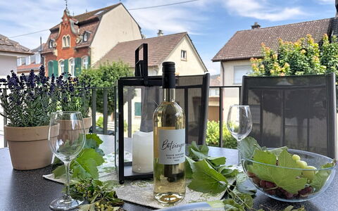 Endingen am Kaiserstuhl 100: Botella, Botella De Vidrio, Vaso, Maceta, Botella De Vino, Planta De Casa, Vino