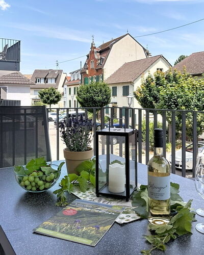 Endingen am Kaiserstuhl 100: Balcón, Maceta, Casa, Diseño Urbano, Departamento, Planta De Casa, Porche, Silla, Pretil, Cerca