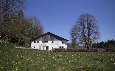 Appartements - N°5 et N°5B