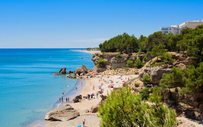Marc Miami