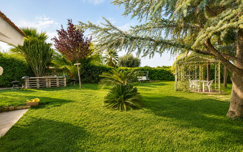 Il Cigno Reale Green: Hierba, Árbol, Verde, Hoja, Vegetación, Jardín, Arbusto, Paisaje, Césped