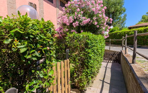 La Molletta: Flor, Arbusto, Rosado, Jardín, Primavera, Yarda, Paisajismo, Patio Interior, Cerca