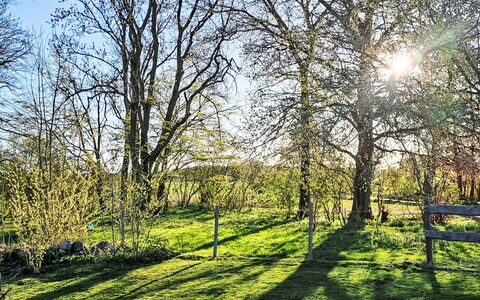 Schlönis Koppelblick: Azul, Rama, Verde, Hoja, Hierba, Árbol, Naturaleza, Entorno Natural, Vegetación, Paisaje Natural