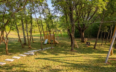 Ruma: Árbol, Hierba, Hoja, Rama, Madera, El Maletero, El Terreno Del Lote, Llanura, Primavera, Césped