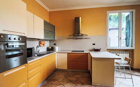 Daisy: Cocina, Mostrador, Diseño De Interiores, Aparato De Cocina, Piso, Electrodoméstico, Gabinetes, Madera, Suelo, Mueble
