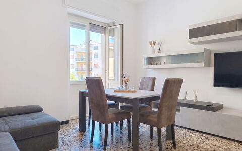Dado: Mueble, Mueble Para Exteriores, Silla, Jardín, Manchas De Madera, Césped, Madera Dura, Sombra, Patio Interior