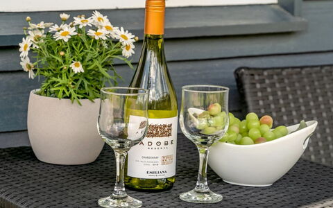 Skakke - 350M to the Fjord: Botella, Vajilla, Drinkware, Mueble, Mesa, Botella De Vidrio, Vino, Stemware