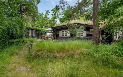 Armund - 50M from the Sea: Arbusto, Área Rural, Cabaña, El Terreno Del Lote, Casa, Jardín, Edificios Del Jardín, Inmuebles, Cuarto De Troncos