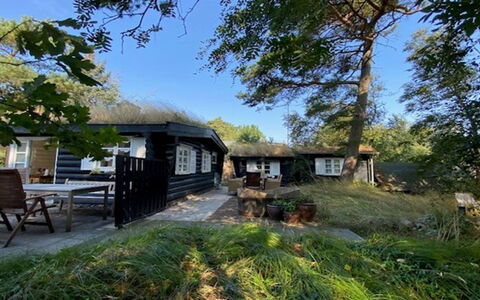 Armund - 50M from the Sea: Cabaña, Casa, Casa, Techo, Área Rural, Cubrir Con Paja, Sombra, Edificios Del Jardín, Yarda, Cuarto De Troncos