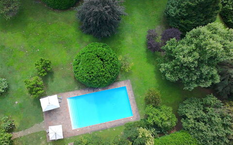 Villa Dorina: Piscina, Arbusto, Jardín, Césped, Paisajismo, Patio Interior, Yarda, Ocio, Recurso, Sombra