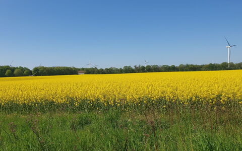Gundula - 1.3Km from the Sea: Verde, Amarillo, Campo, Agricultura, Verano, Pradera, Llanura, El Terreno Del Lote, Cosecha, Prado