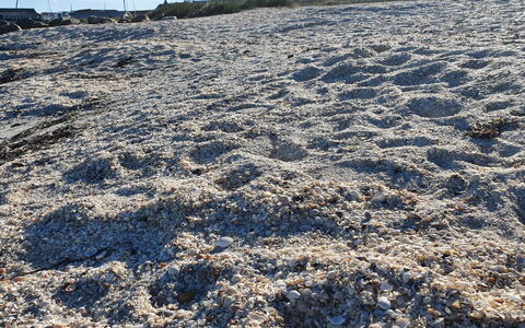 Gundula - 1.3Km from the Sea: Geología, Suelo, Arena, Invierno
