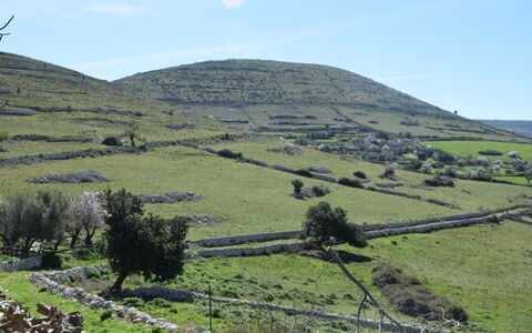 Antica Cascina 191: Colina, Tierras Altas, Pradera, Paisaje, Terreno, Campo, Cayó, Pasto, Hill Station, Pendiente