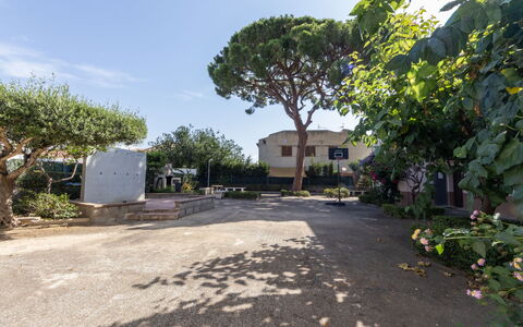 Rosa Dels Vents: Superficie De La Carretera, Arbusto, Espacio Publico, Barrio Residencial, Asentamientos Humanos, Sombra, Jardín, Entrada De Coches, Paisajismo, Yarda