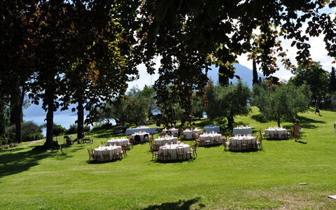 Robilant: Árbol, Pradera, Paisaje, El Terreno Del Lote, Llanura, Césped, Jardín, Primavera, Prado