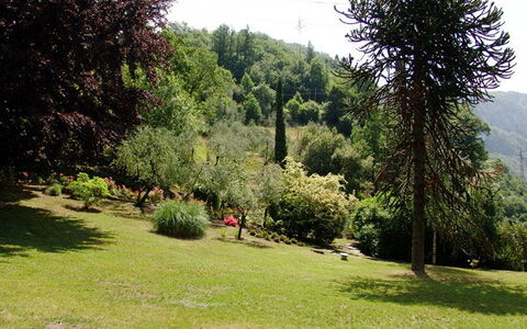 Robilant: Arbusto, Jardín, Jardín Botánico, Parque, Paisajismo, Hojas Perennes, Familia De Pino, Banco Al Aire Libre