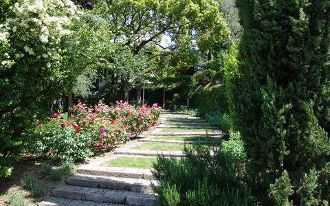 Robilant: Flor, Hoja, Verde, Naturaleza, Jardín, Vegetación, Arbusto, Planta De La Comunidad, Cobertura Del Suelo