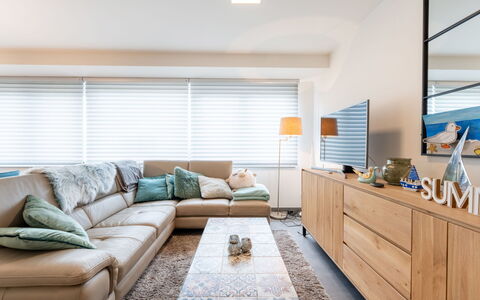 Cosy @ Sea with Terrace: Mueble, Diseño De Interiores, Sofá, Piso, Suelo, Madera, Sala, Techo, Departamento, Casa