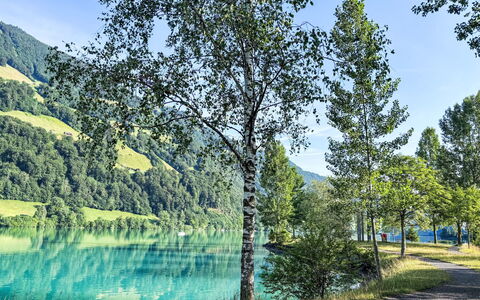 Ferienwohnung Enz: Azul, Agua, Los Recursos Hídricos, Verde, Cuerpo De Agua, Naturaleza, Paisaje Natural, Entorno Natural, Vegetación, Verano
