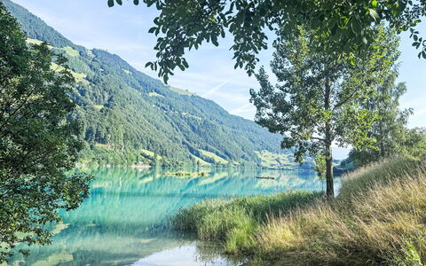 Ferienwohnung Enz: Agua, Verde, Cuerpo De Agua, Los Recursos Hídricos, Paisaje Natural, Verano, Colina, Tierras Altas, Corriente De Agua, Banco