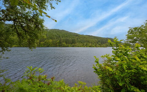 Loch Oich View (Lodge 6): Azul, Agua, Los Recursos Hídricos, Cuerpo De Agua, Verde, Naturaleza, Entorno Natural, Paisaje Natural, Hoja, Vegetación