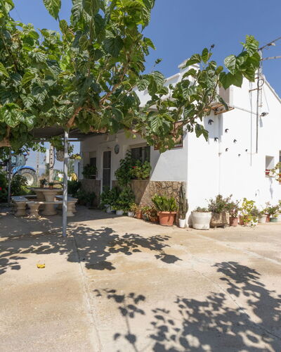 Pepeta