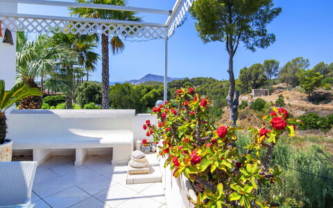 Castillo: Mueble, Maceta, Jardín, Mueble Para Exteriores, Recurso, Sombra, Eco Hotel, Silla, Paisajismo
