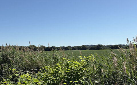 Vilmar - 450M from the Sea: Cielo, Azul, Verde, Hierba, Entorno Natural, Vegetación, Pradera, Verano, Ecorregión, Planta De La Comunidad
