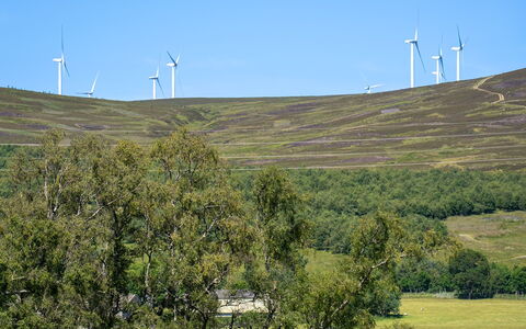 Strathnoon: Entorno Natural, Pradera, Ecorregión, Paisaje, Campo, El Terreno Del Lote