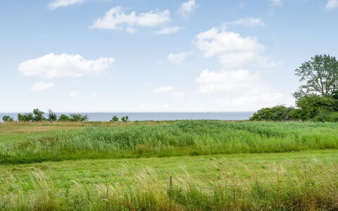 Apsolon - 100M from the Sea: Cielo, Azul, Verde, Hierba, Entorno Natural, Pradera, Vegetación, Paisaje Natural, Nube, Ecorregión