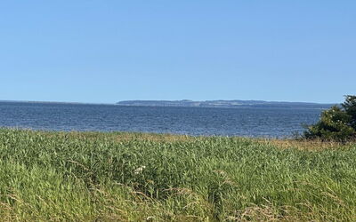 Apsolon - 100M from the Sea