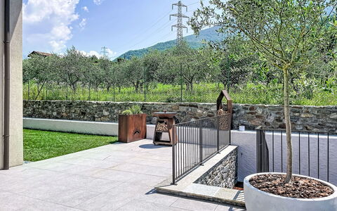 Aura: Jardín, Hormigón, Sombra, Losa, Paisajismo, Patio Interior, Pasarela, Yarda, Patio, Entrada De Coches